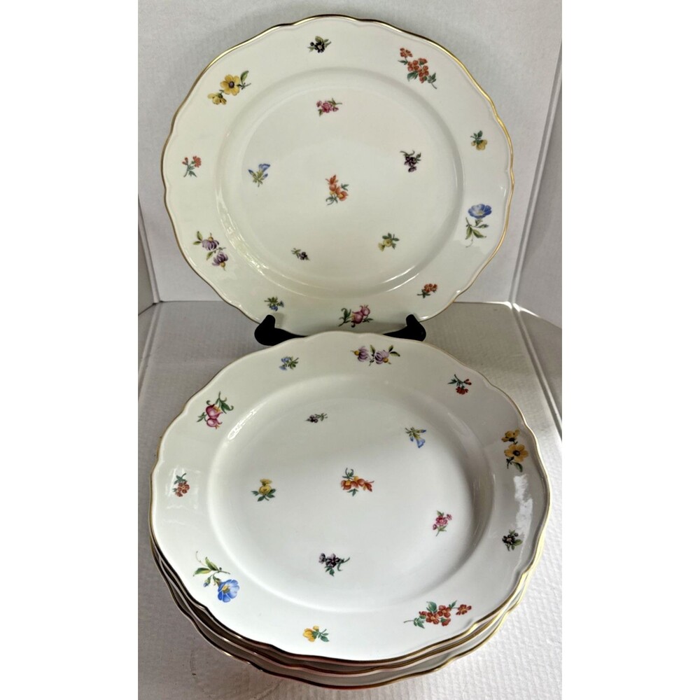 4 Hutschenreuther Mirabell Maria Theresa Porcelain Floral Dinner Plates 9.75"